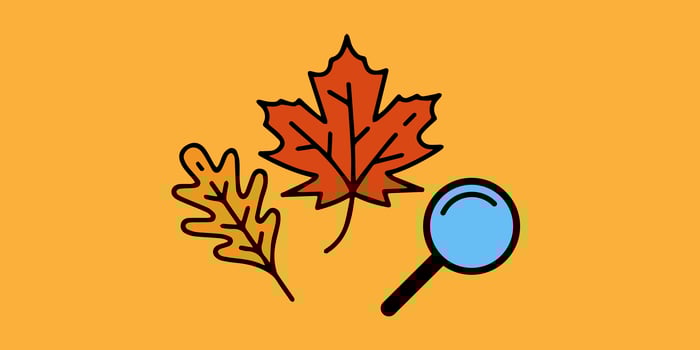 This Thanksgiving, take stock of what's working for your construction team and build on that foundation.